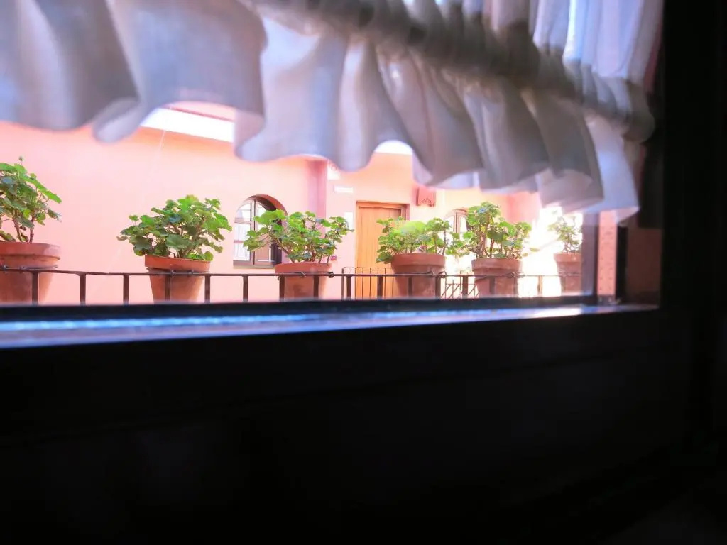 Hotel Patio de la Alameda - Chambres