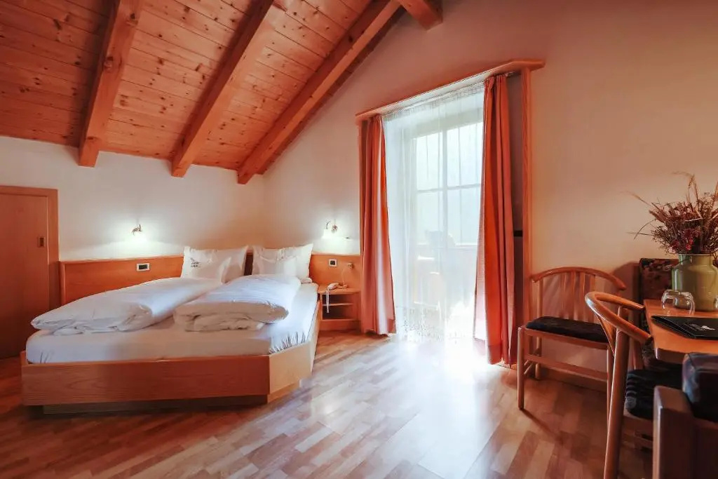 Standard Double room with mountain view (full double bed)