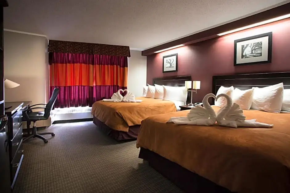 Coliseum Inn - Chambres