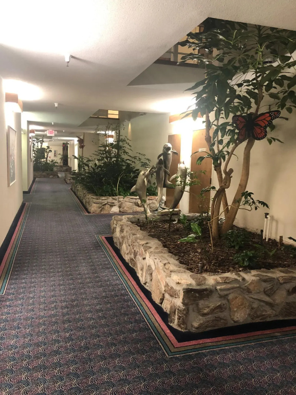 Hotel photo 40