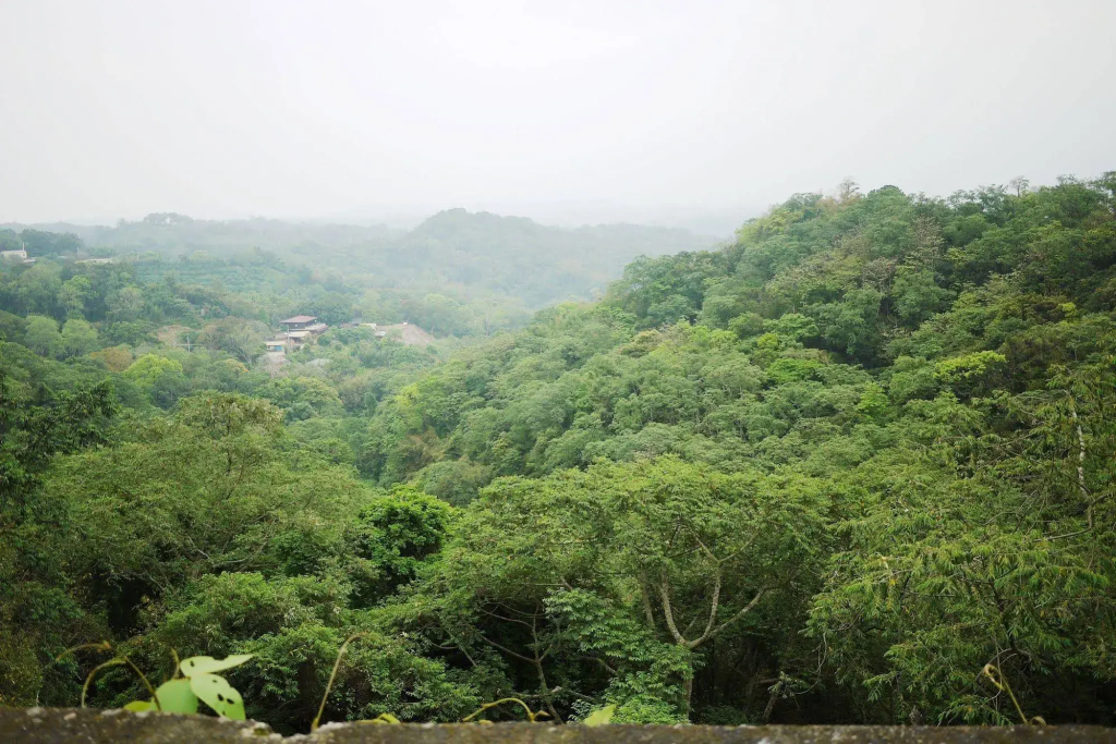 Hsinchu Emei Canadian WoodHouse Homestay - фото 14