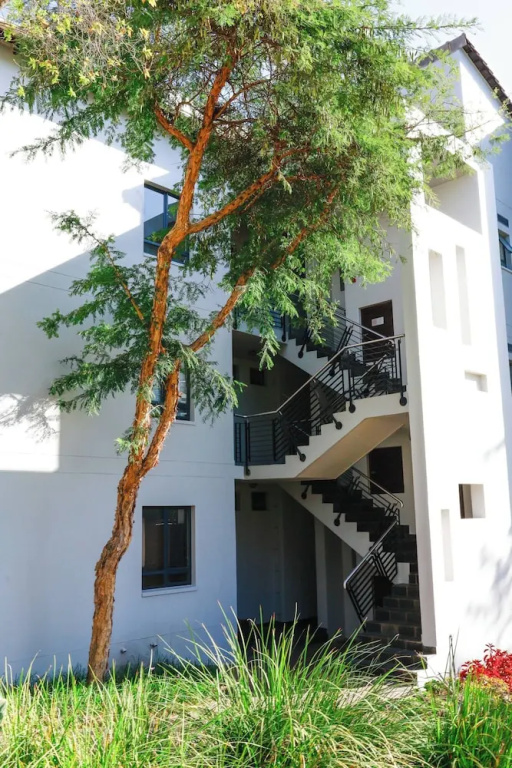 Modern, Cozy & Serene 1BR Apartment