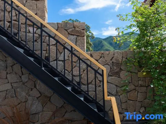 Balcony & Terrace