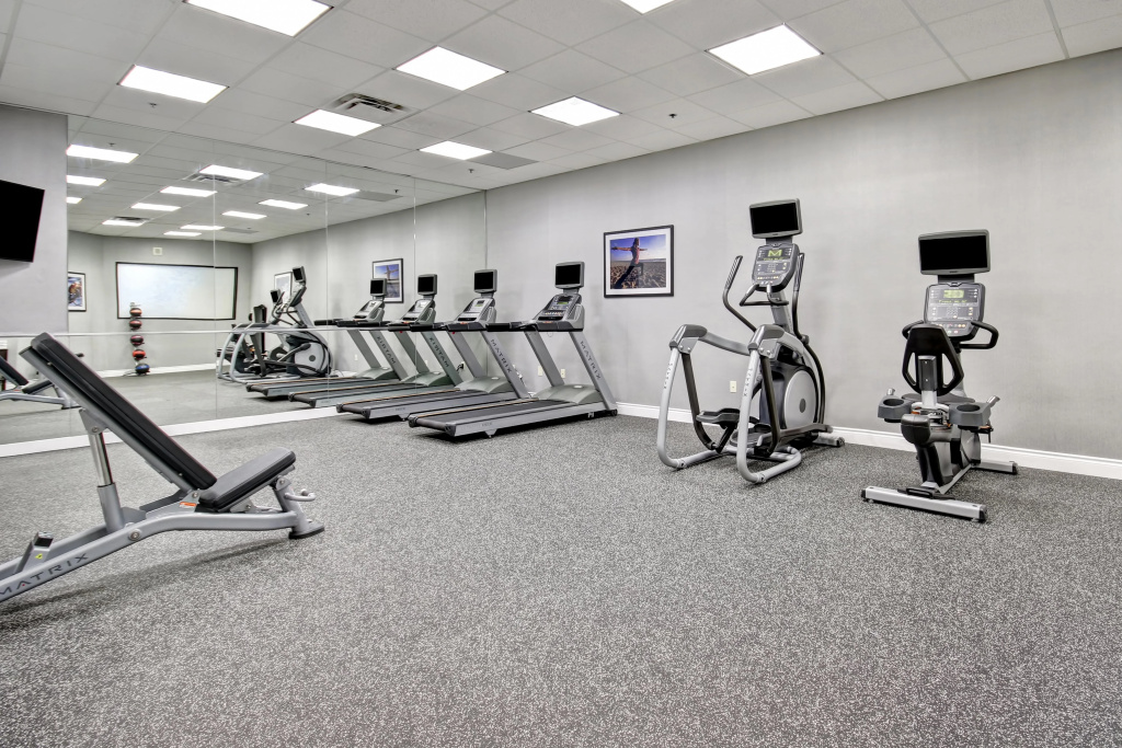 Holiday Inn & Suites Windsor Ambassador Bridge by IHG - Général