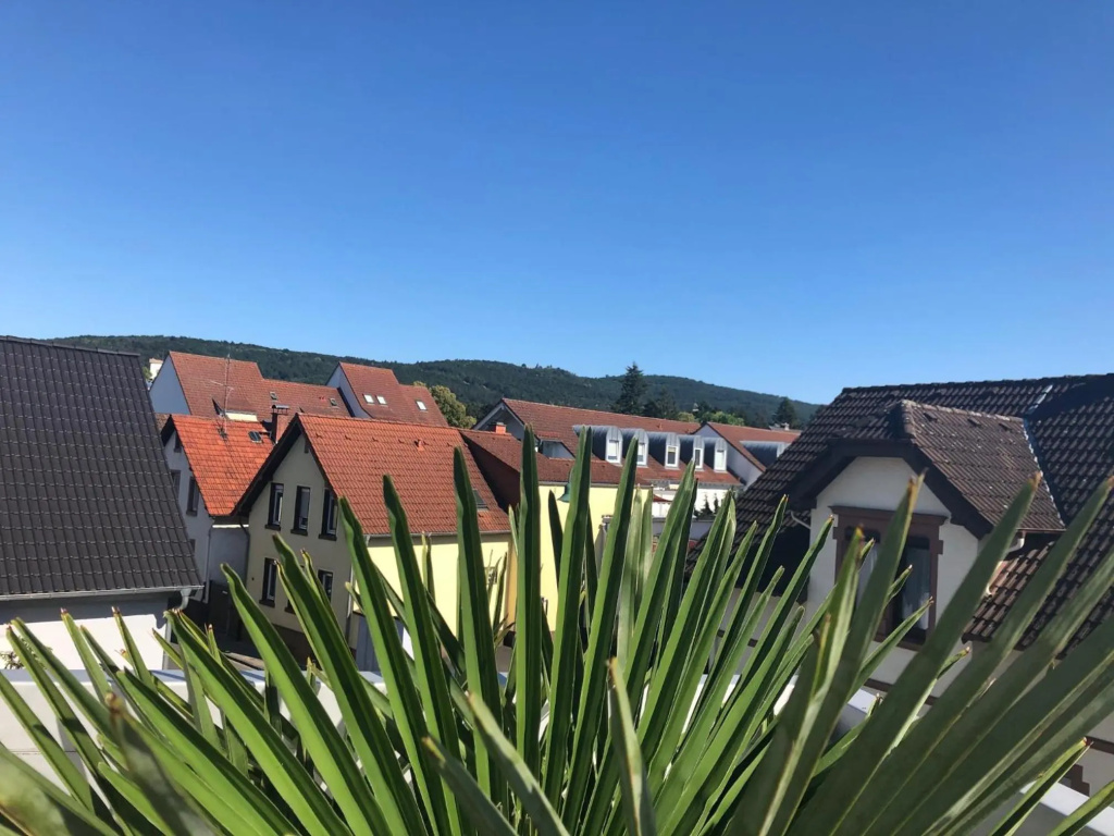 Wohnen beim Brotsommelier - Brezel
