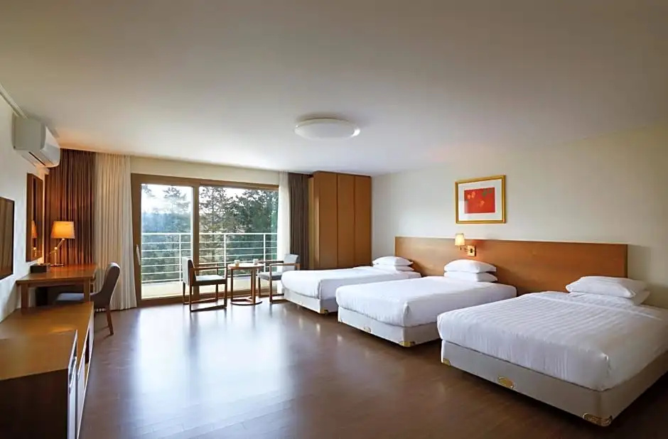 Jeju Aerospace Hotel - Chambres