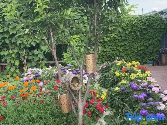 Youran Homestay Courtyard