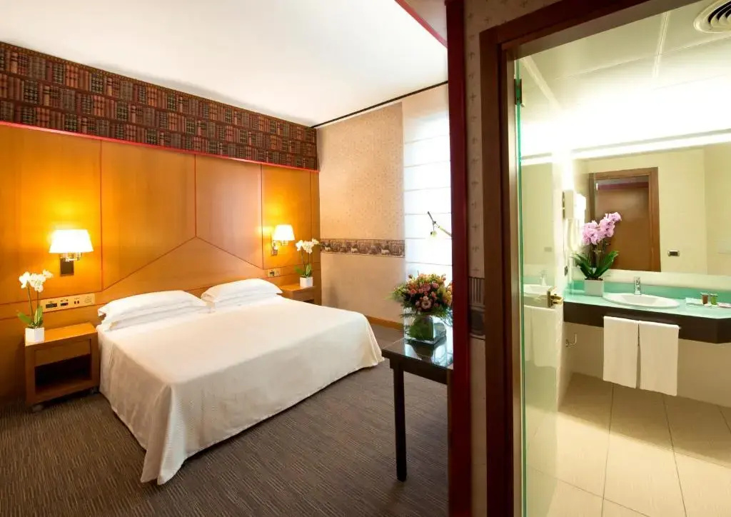 Standard Double room (full double bed)