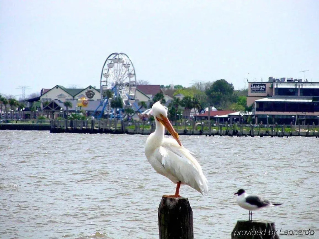 Kemah Boardwalk Inn - Général