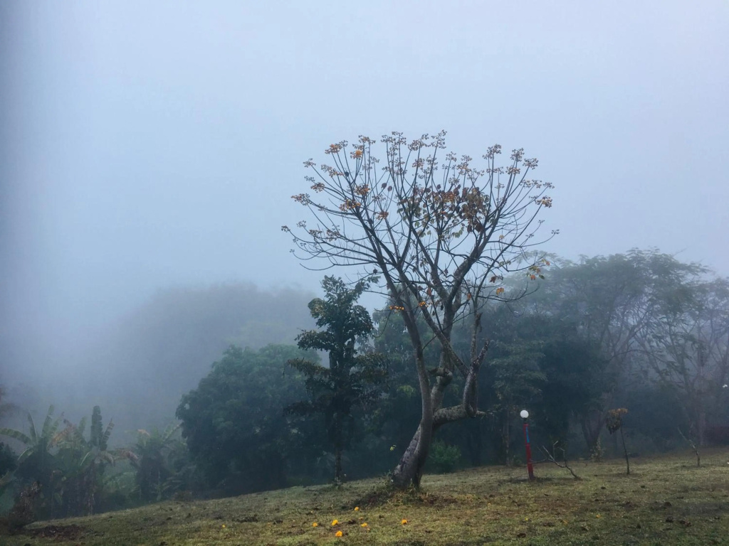 The Natural Yurt Resort at Khao Kho - фото 17