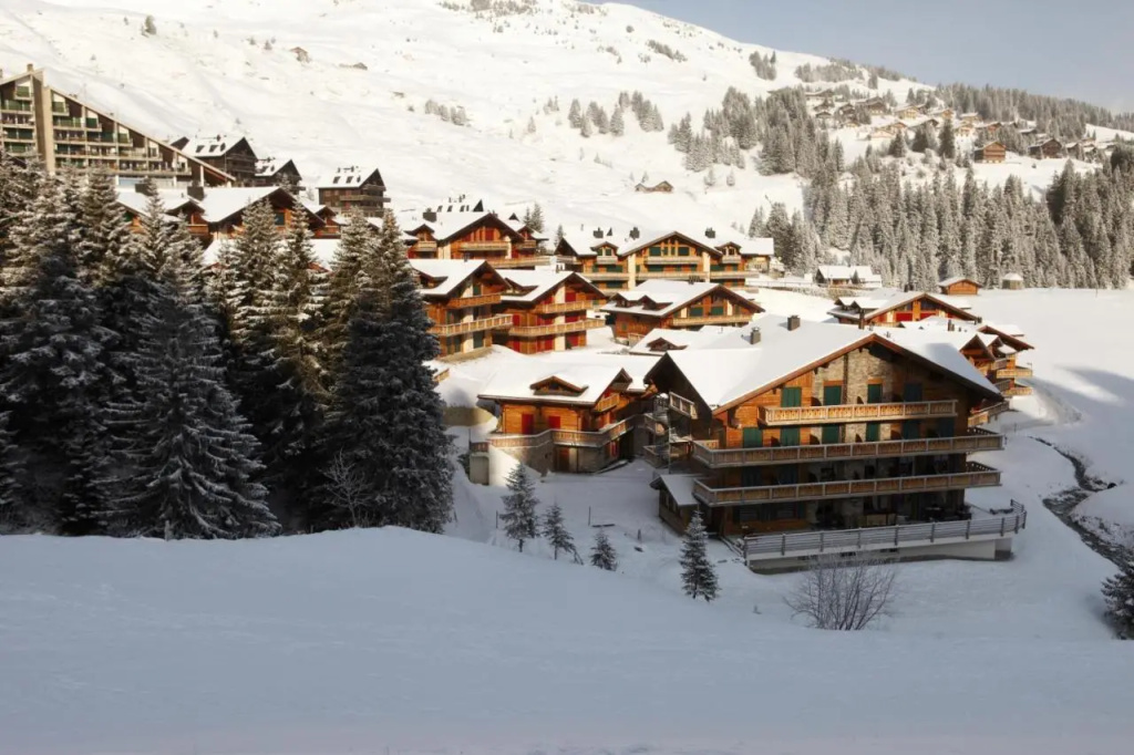 Mountain Lodge & Spa Les Crosets - Général
