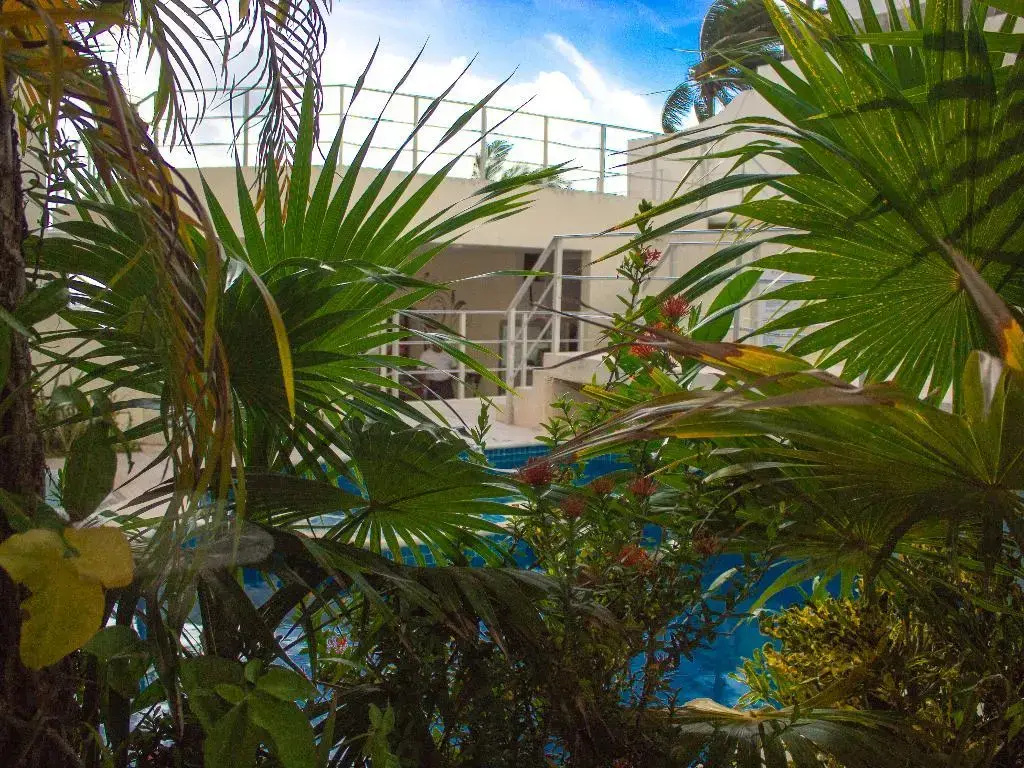 Hotel photo 21