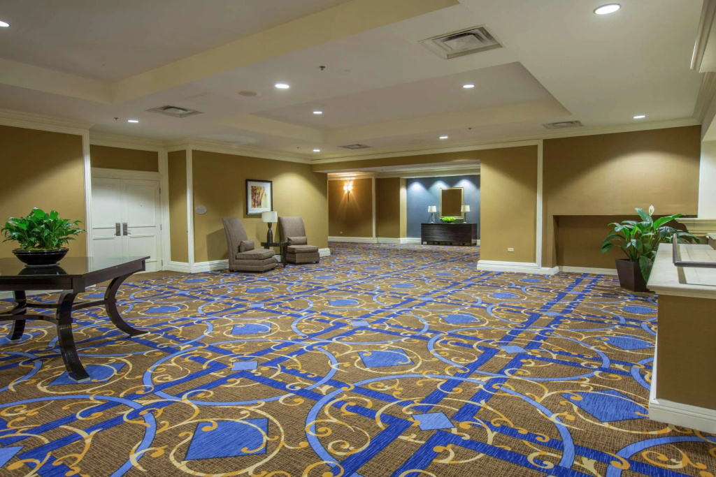 DoubleTree by Hilton Chicago O'Hare Airport - Rosemont - Général