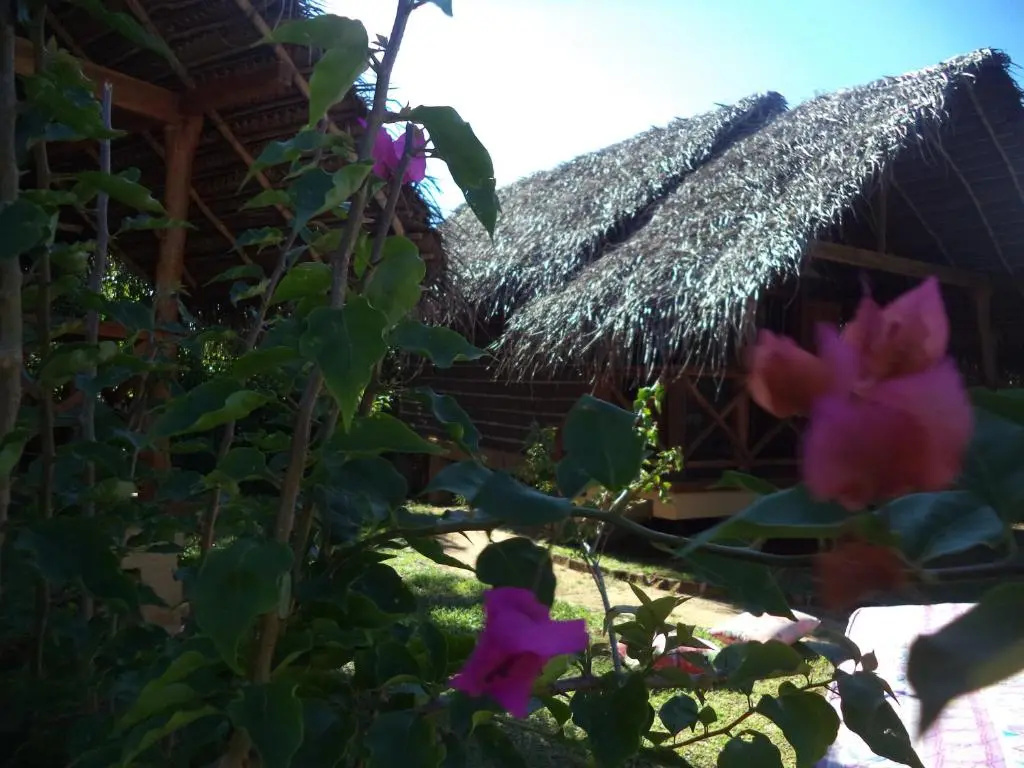 Seagulls Beach & Garden Cabanas - Chambres