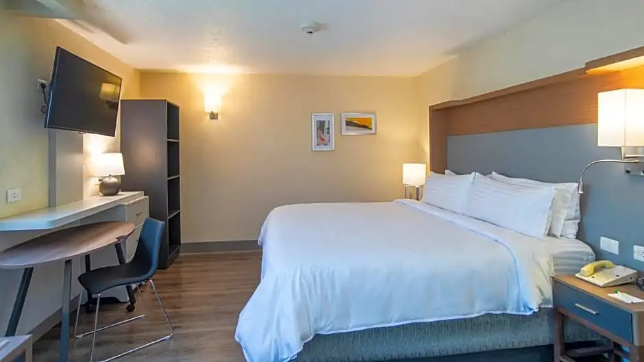 Holiday Inn Mexico Coyoacan - Chambres