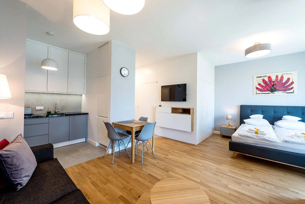 Standard Double Studio (full double bed)
