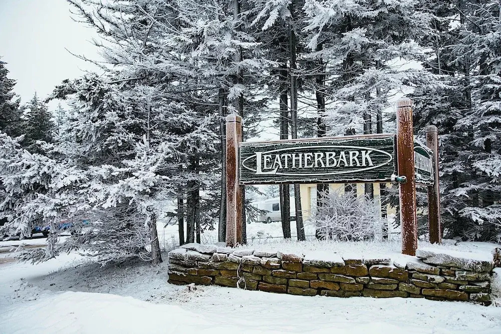 Leatherbark - 301b, 2 Bedroom Allegheny Sunrise Spacious Condo Foosball