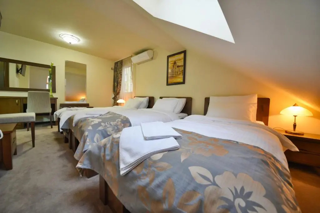 Central Lux Hotel Kragujevac - Général
