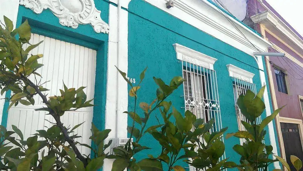 Blue Pepper Downtown