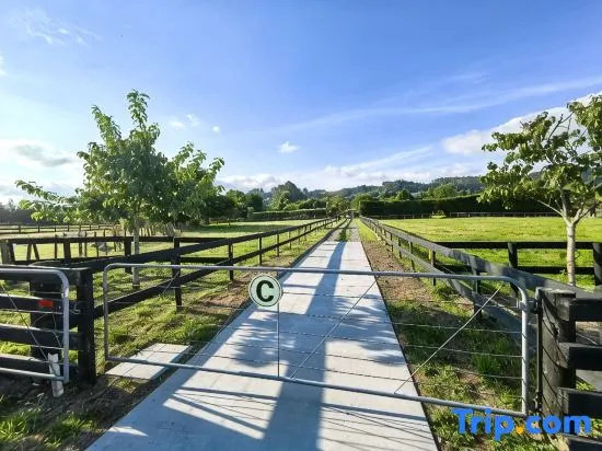 Rotorua Family Retreat Hamurana 10000Sqm Lawn