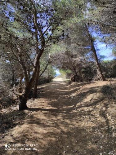 Отель Apartment Anethum, фото 14