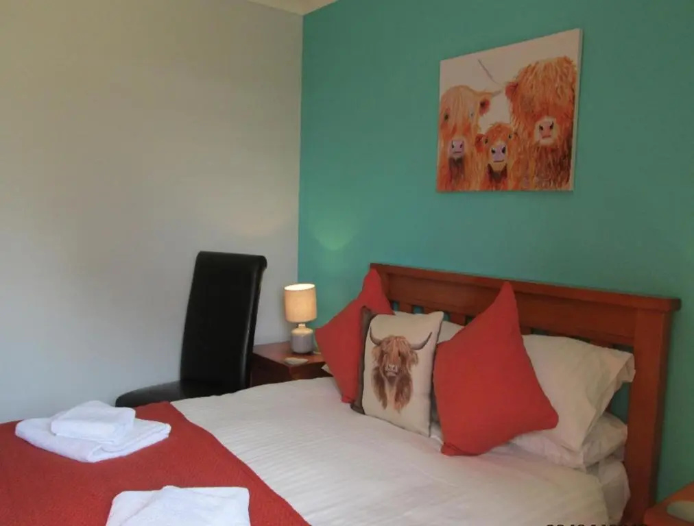 Deluxe Double room (full double bed)