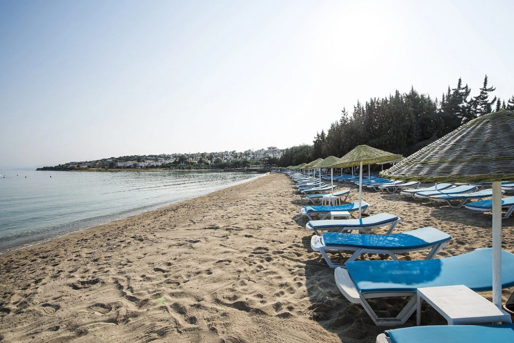 Beach & Waterfront