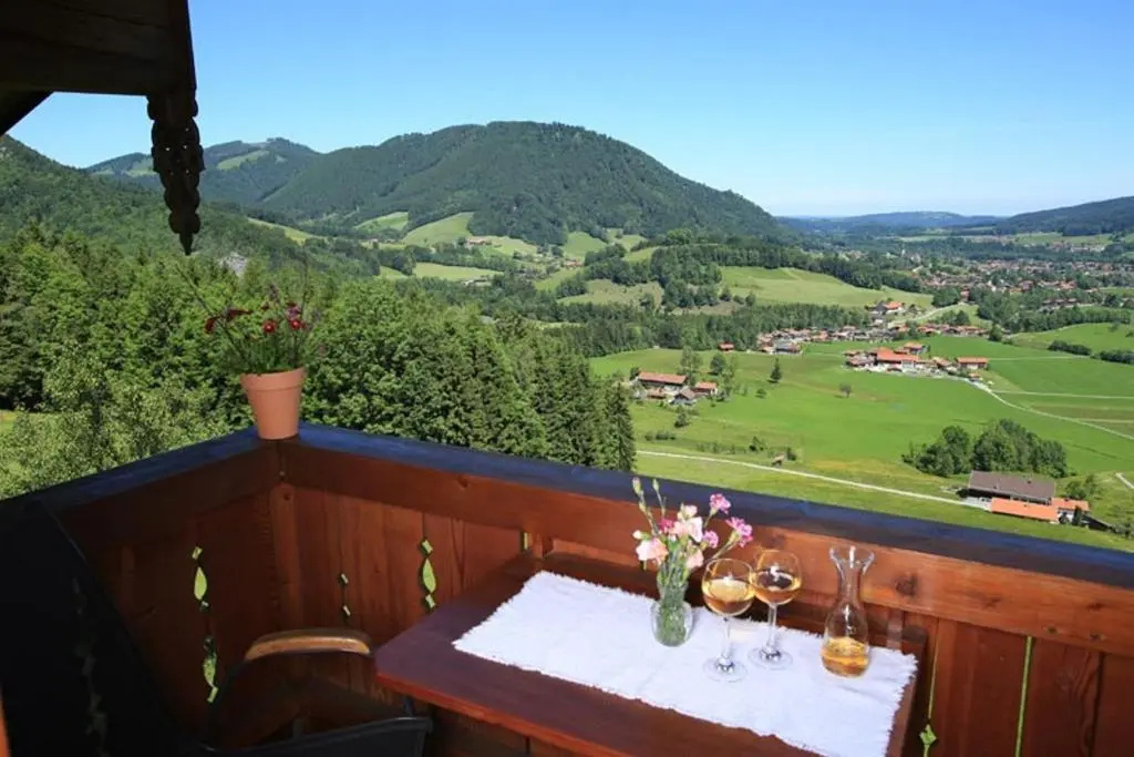 Berggasthaus Weingarten - Général