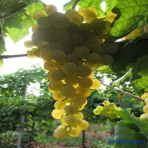 Hotel photo 38