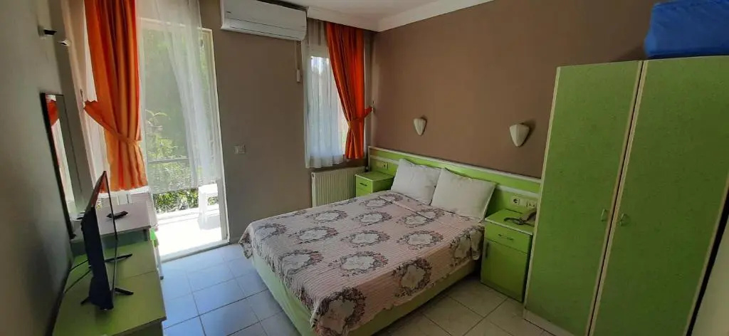 Standard Double room with mountain view (full double bed)