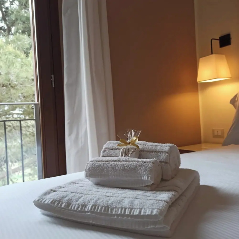 Deluxe Double room (full double bed)