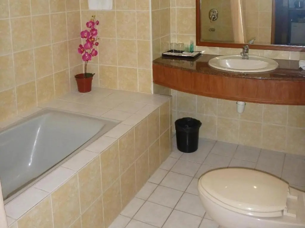 Deluxe Double room (full double bed)