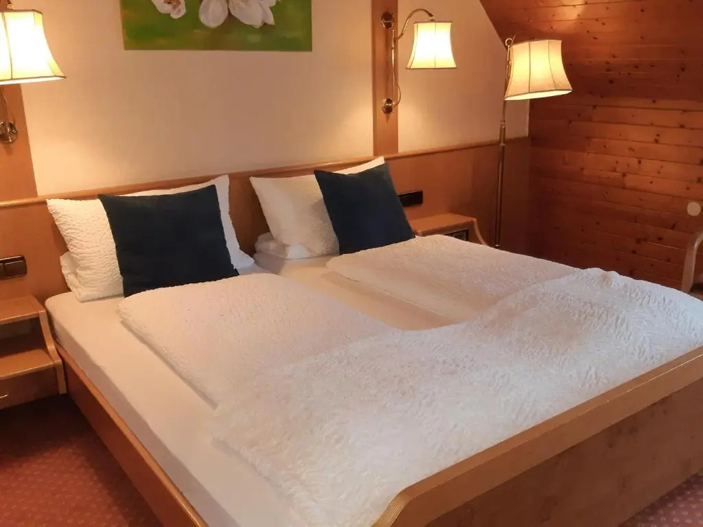 Standard Double room (full double bed)