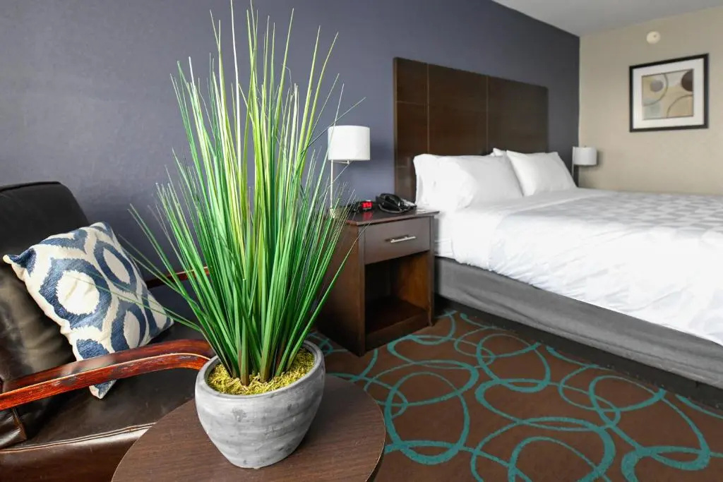 Holiday Inn Niagara Falls State Park Entry by IHG - Chambres