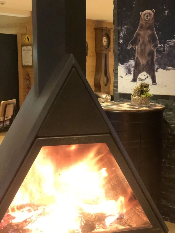 Montana Chalet Hotel - Général