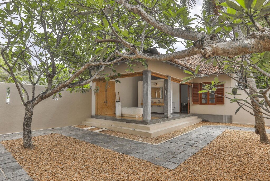 The Frangipani Tree By Edwards Collection
