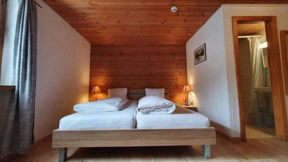 Standard Double room with mountain view (full double bed)