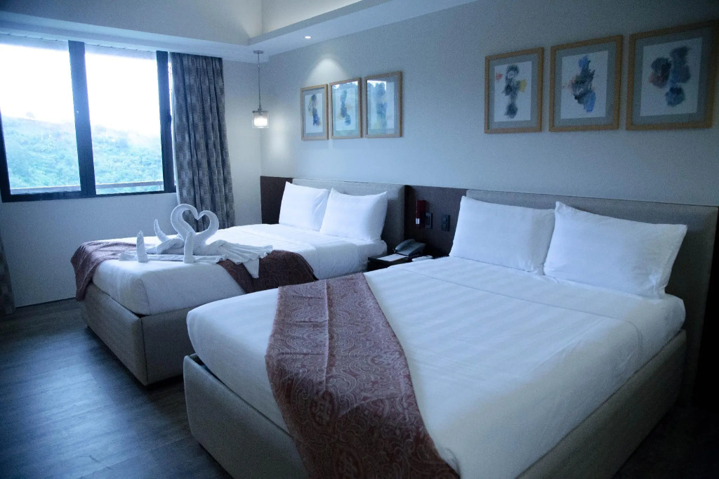 Deluxe Double room with mountain view (full double bed)