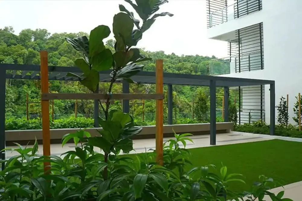 Balcony & Terrace