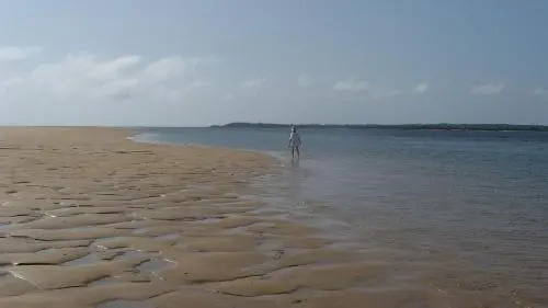 Kizingo — фото