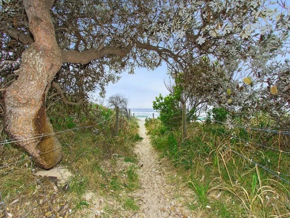Shoreline 3