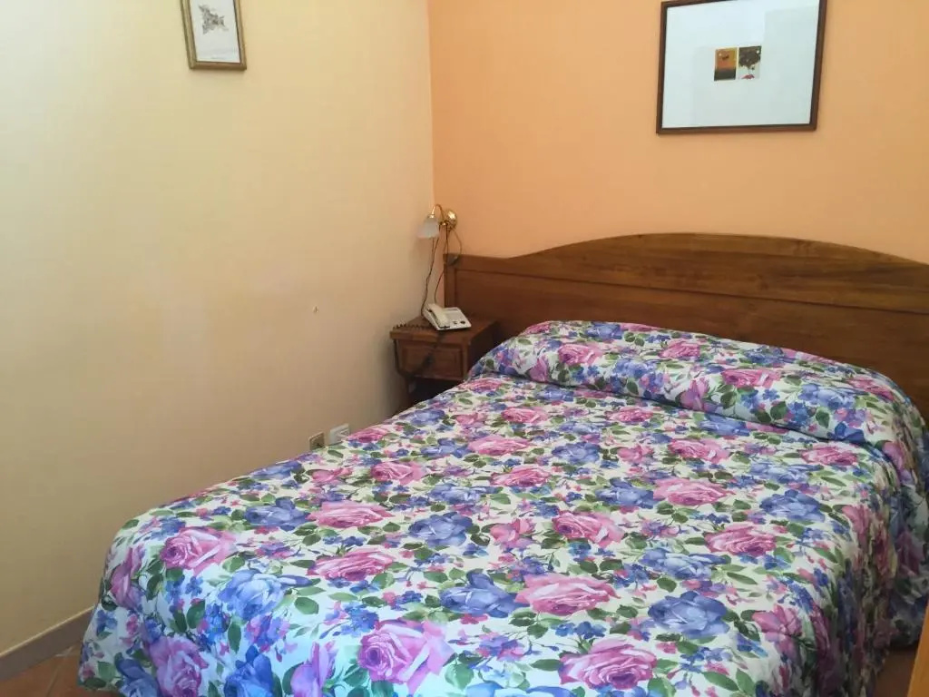 Economy Double room (full double bed)