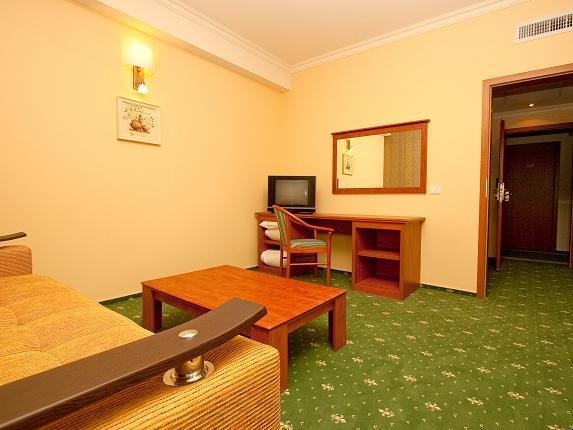 Standard Family room — room photo 2