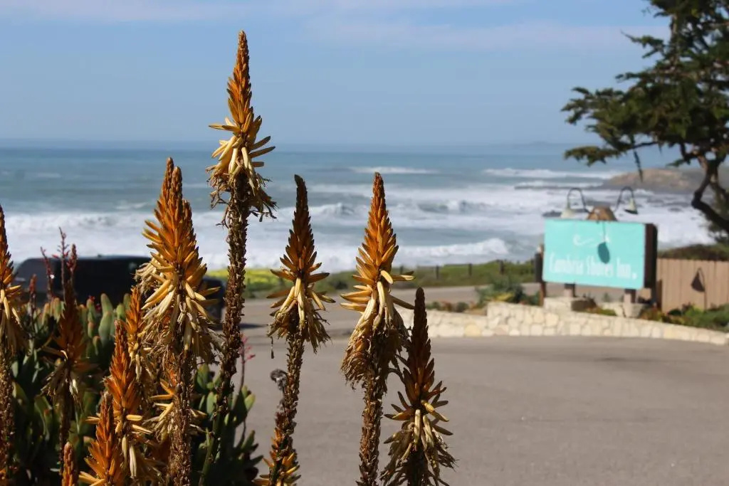 Cambria Shores Inn