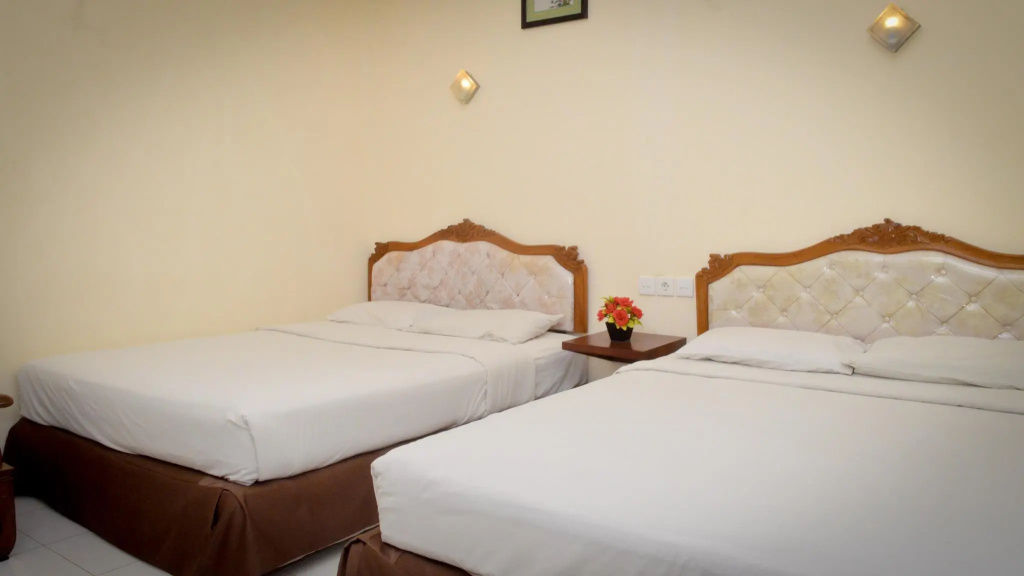 Superior Double room (twin beds)