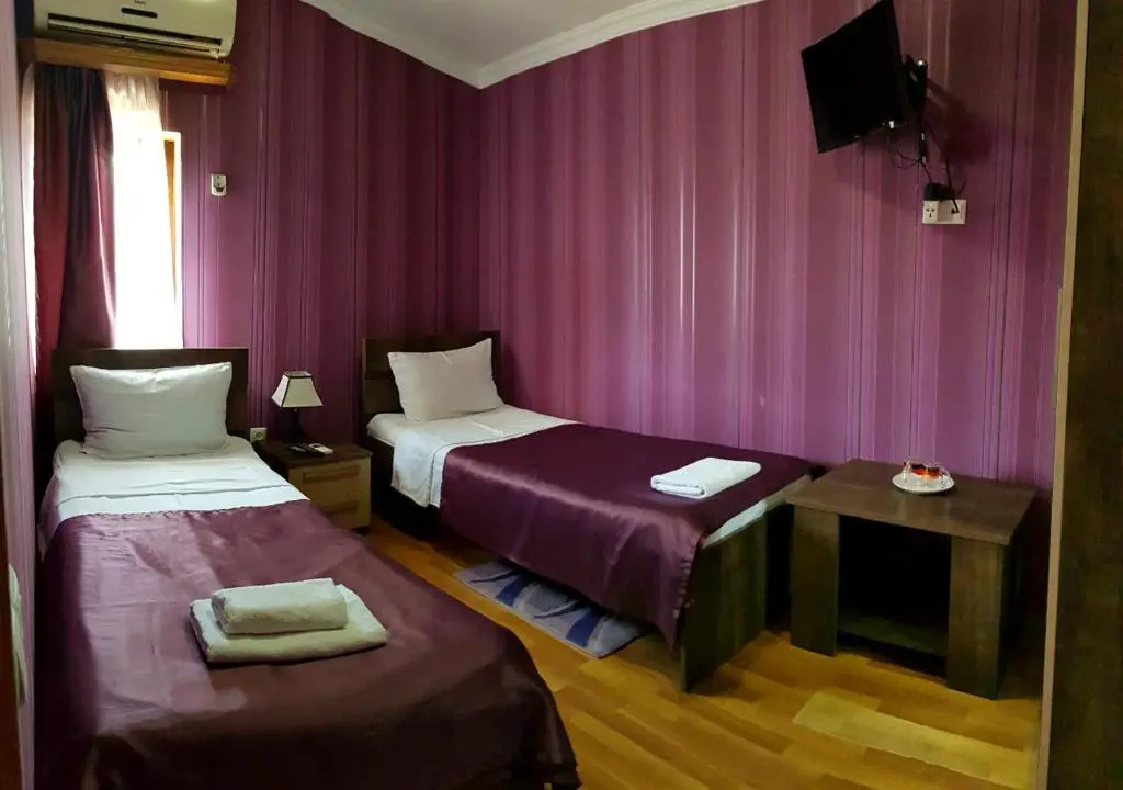 Standard Double room with city view (twin beds)