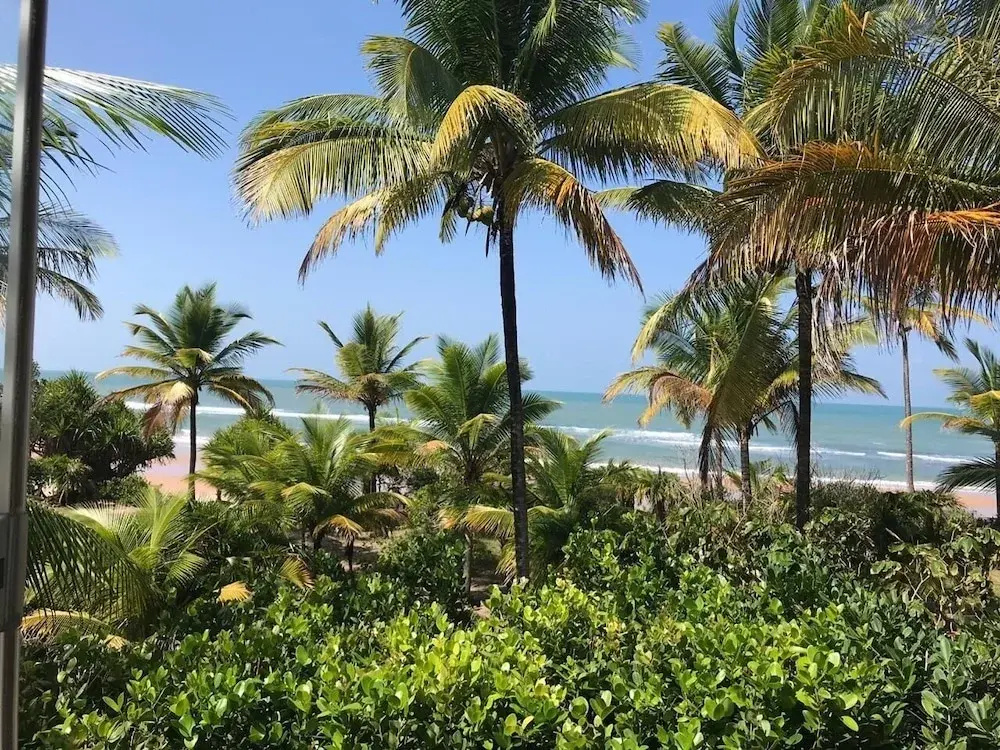 Hotel photo 45