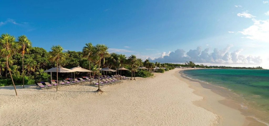 Paradisus Playa del Carmen, Плая дель Кармен, Мексика мініатюра 36