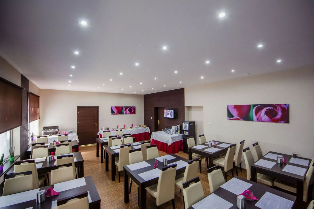 Boutique Hotel's Sosnowiec - Général