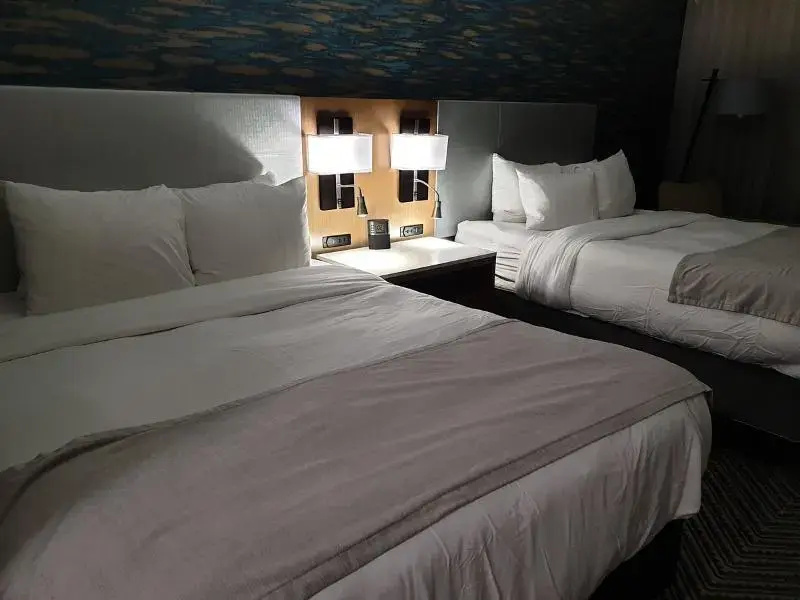 Radisson Hotel Niagara Falls-Grand Island - Chambres